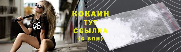 стафф Дмитровск
