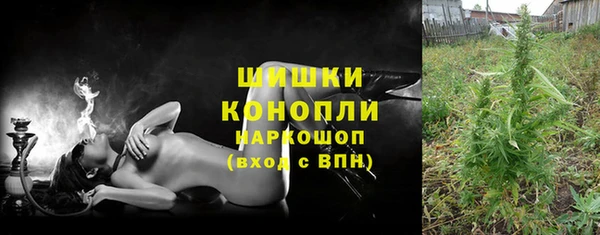 стафф Дмитровск