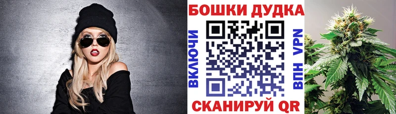 Бошки марихуана THC 21%  Купить закладки  Пудож 
